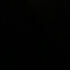 Meet your Posher, Sunny